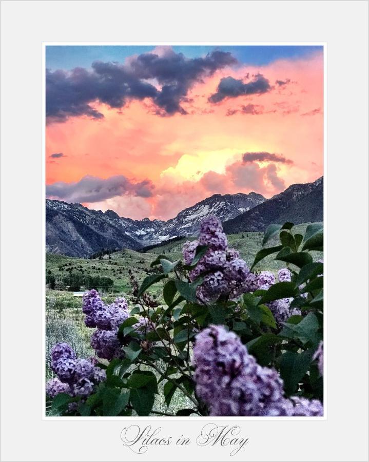 Pine Creek Cabin Livingston Montana Dış mekan fotoğraf