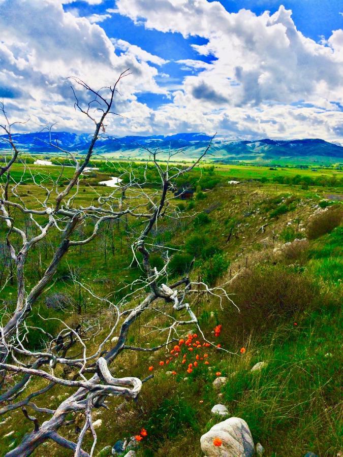 Pine Creek Cabin Livingston Montana Dış mekan fotoğraf