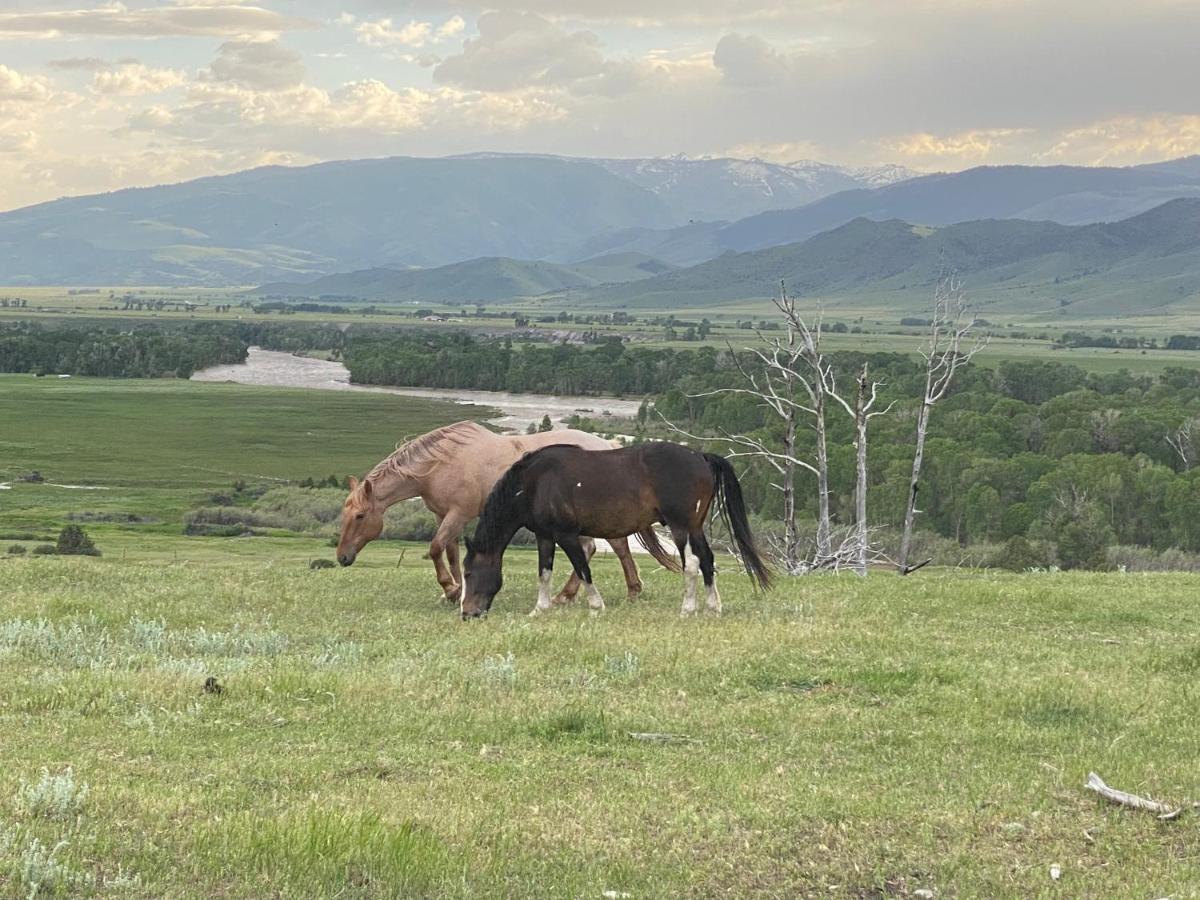 Pine Creek Cabin Livingston Montana Dış mekan fotoğraf
