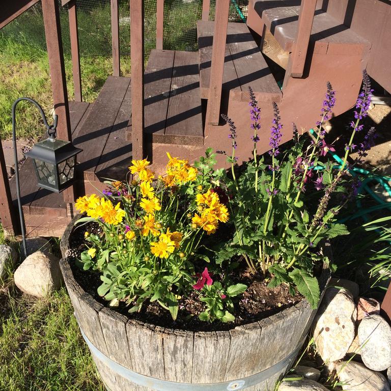 Pine Creek Cabin Livingston Montana Dış mekan fotoğraf