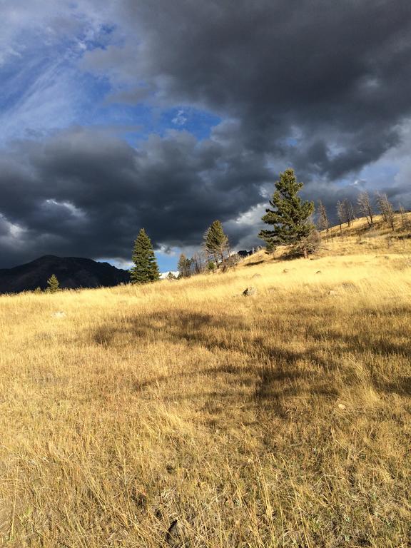 Pine Creek Cabin Livingston Montana Dış mekan fotoğraf