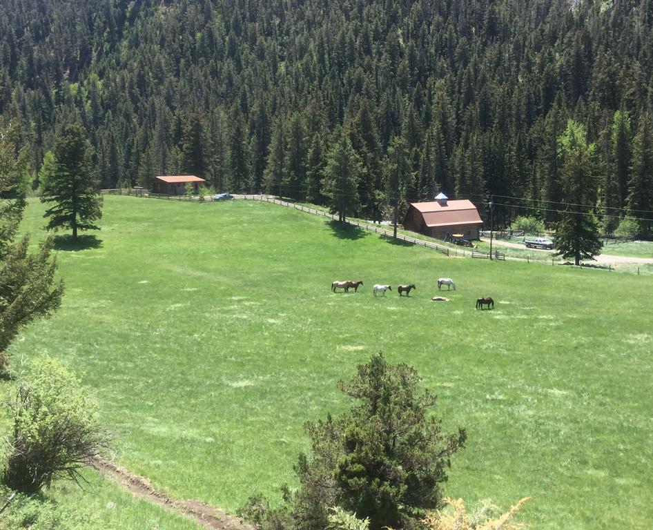 Pine Creek Cabin Livingston Montana Dış mekan fotoğraf