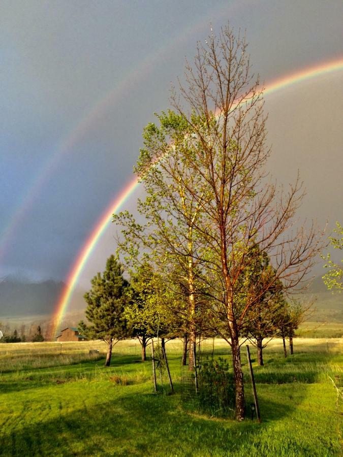 Pine Creek Cabin Livingston Montana Dış mekan fotoğraf